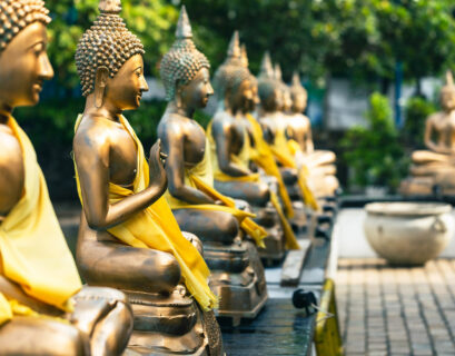 Buddha Statuen in Sri Lanka